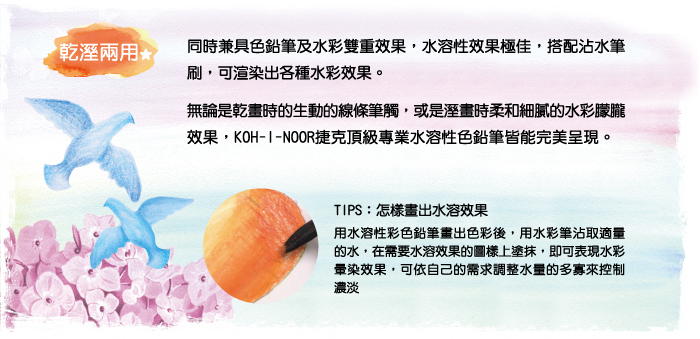KOH-I-NOOR-3713 捷克頂級專業水溶性色鉛筆紙盒裝-48色