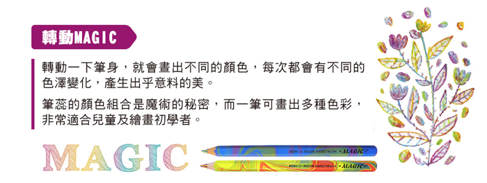 輝柏 施德樓 Faber-Castell  捷克koh-i-noor 捷克刺蝟筆筒  捷克必買 捷克文具