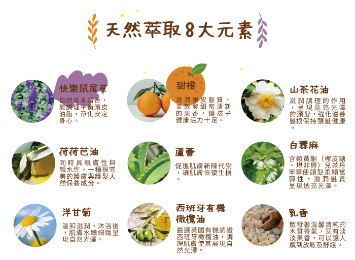 愛你所愛 植萃洗髮液體皂 400ml(台灣製 敏感肌可用)