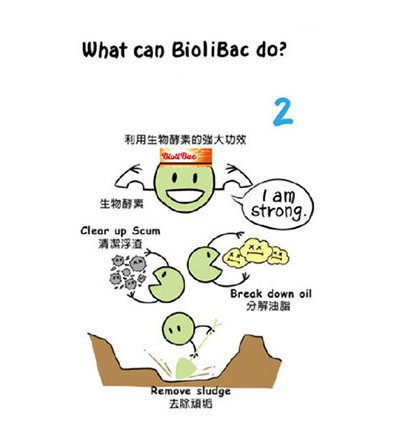 what can BioliBac do