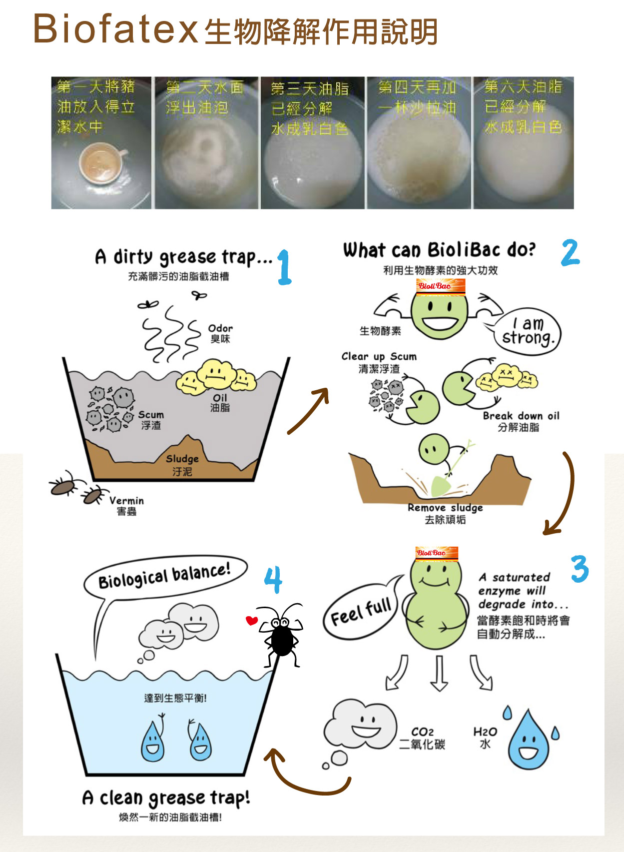 Biofatex 生物降解作用說明